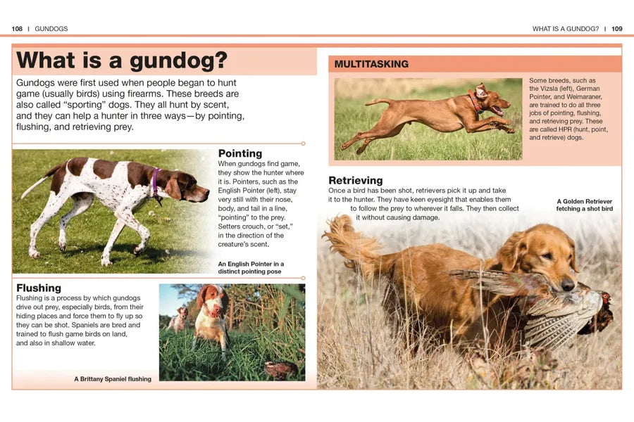 Pocket Genius: Dogs US - Paperback / softback