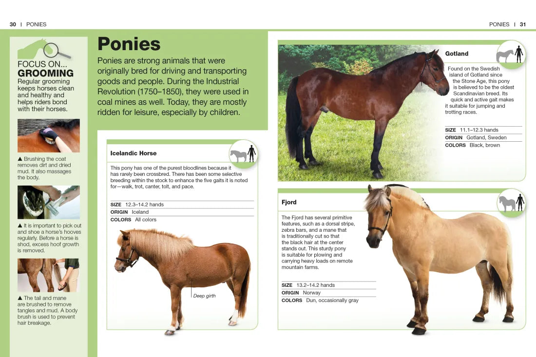 Pocket Genius: Horses US - Paperback / softback