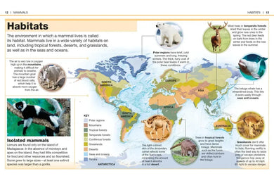 Pocket Genius: Mammals US - Paperback / softback