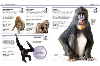 Pocket Genius: Mammals US - Paperback / softback