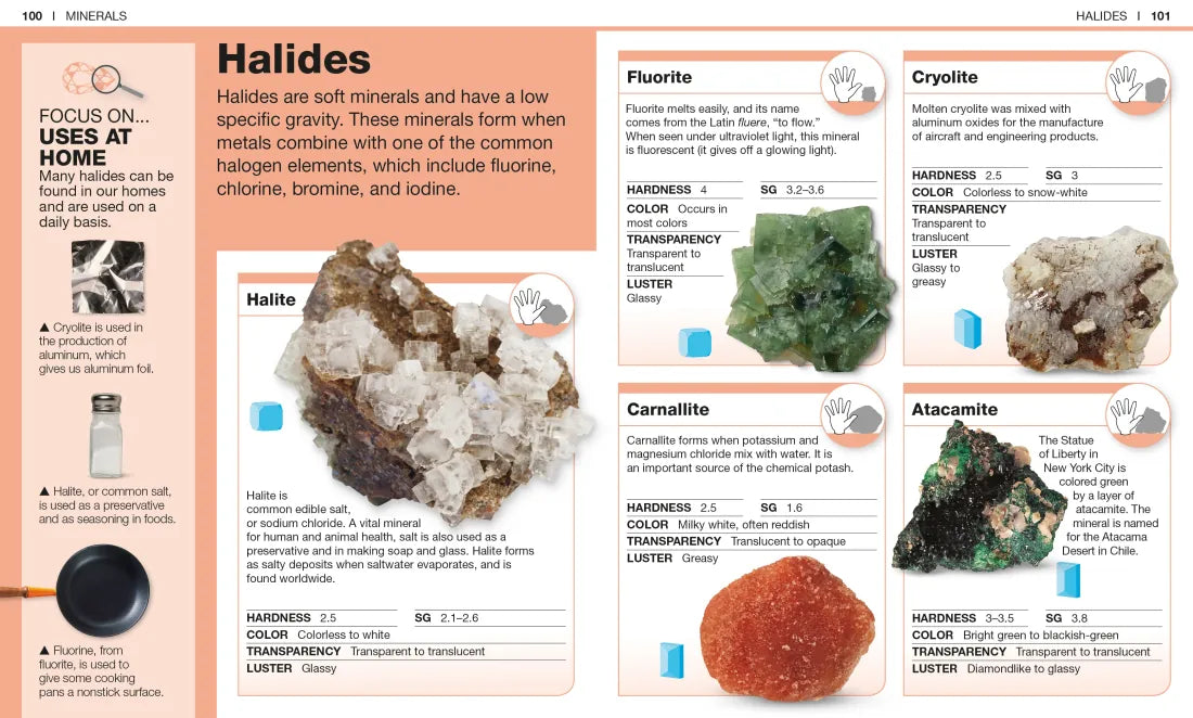 Pocket Genius: Rocks and Minerals US - Paperback / softback
