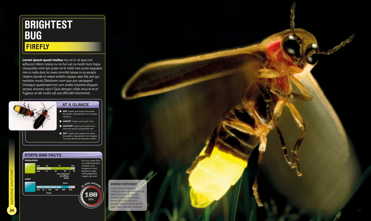 Super Bug Encyclopedia US - Hardback