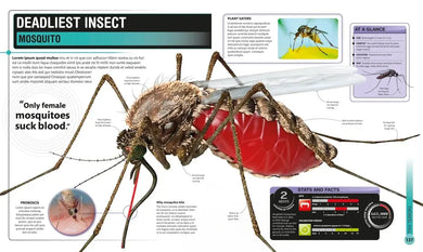 Super Bug Encyclopedia US - Hardback