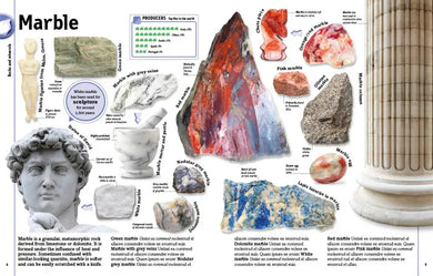 The Rock and Gem Book US - Hardback