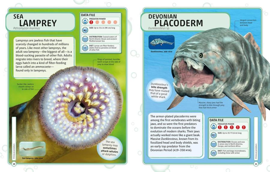 Sharks and Other Deadly Ocean Creatures Visual Encyclopedia US - Hardback