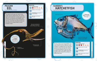 Sharks and Other Deadly Ocean Creatures Visual Encyclopedia US - Hardback