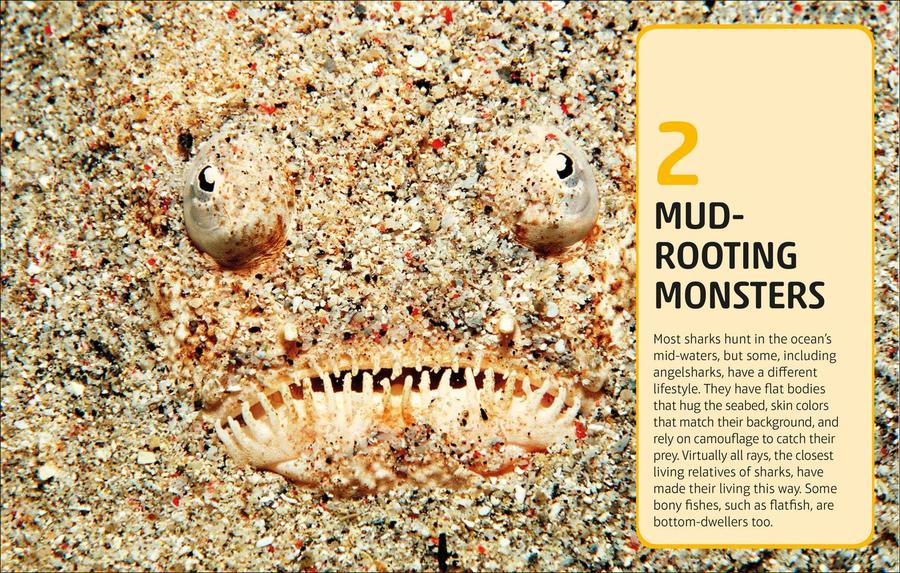 Sharks and Other Deadly Ocean Creatures Visual Encyclopedia US - Hardback