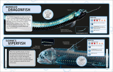 Sharks and Other Deadly Ocean Creatures Visual Encyclopedia US - Hardback