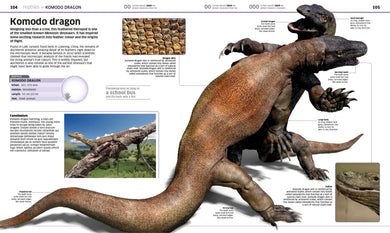 Knowledge Encyclopedia Animal! US - Hardback