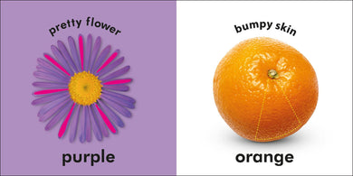 Baby Touch and Feel: Colors US - Board book