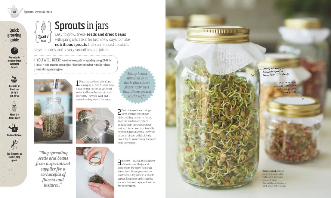Indoor Edible Garden US - Paperback / softback