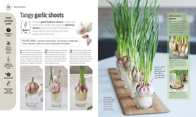 Indoor Edible Garden US - Paperback / softback