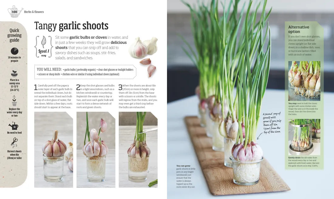Indoor Edible Garden US - Paperback / softback