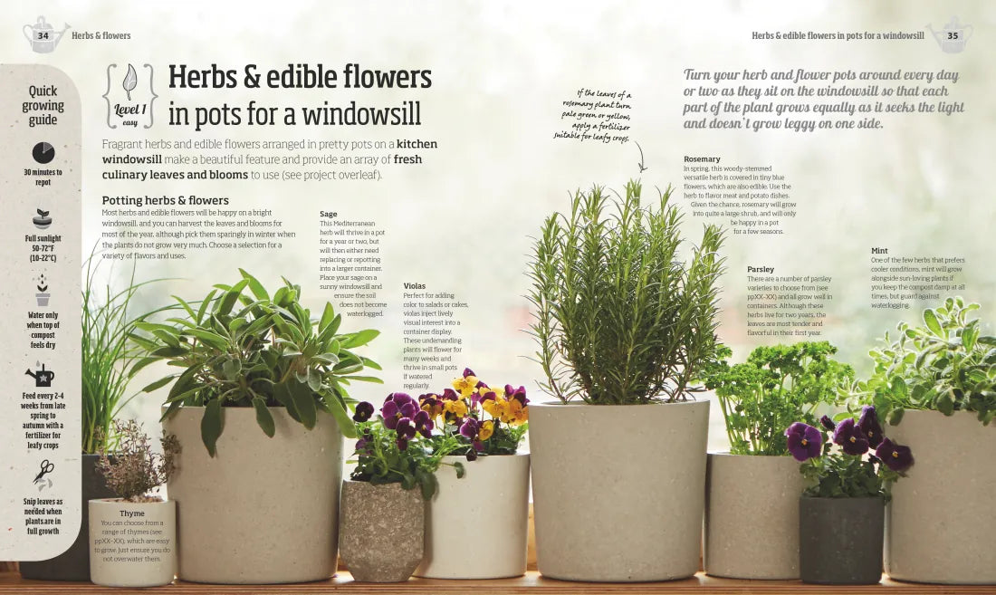 Indoor Edible Garden US - Paperback / softback