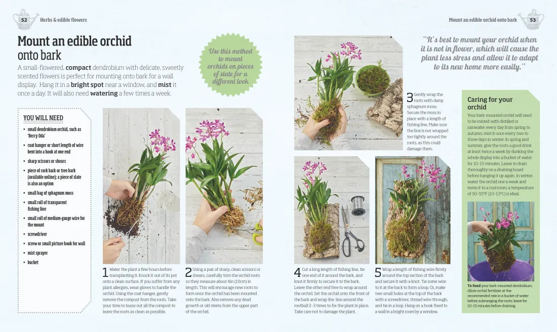 Indoor Edible Garden US - Paperback / softback