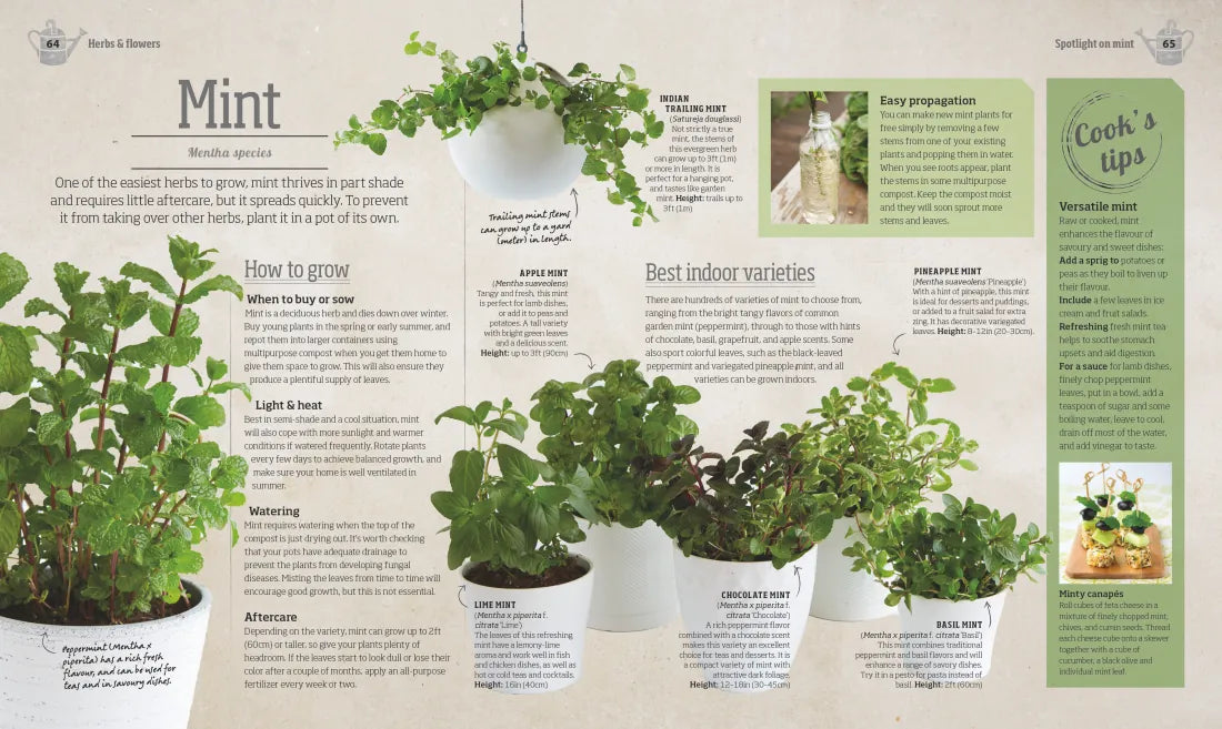 Indoor Edible Garden US - Paperback / softback