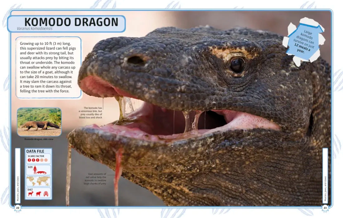 Nature's Deadliest Creatures Visual Encyclopedia US - Hardback