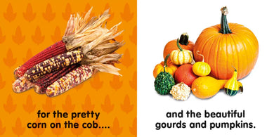 Baby's First Thanksgiving US - Board book