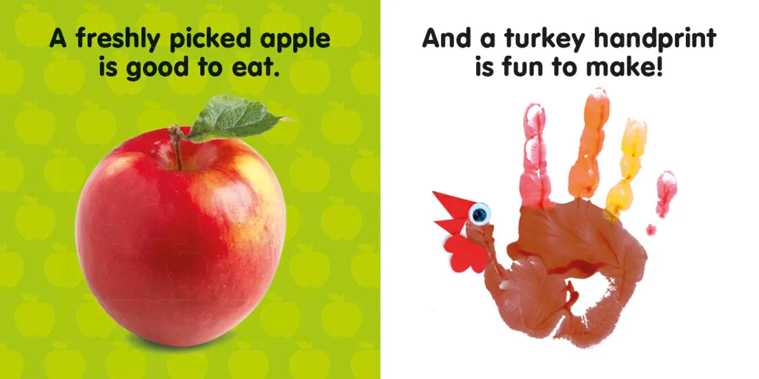 Baby's First Thanksgiving US - Board book