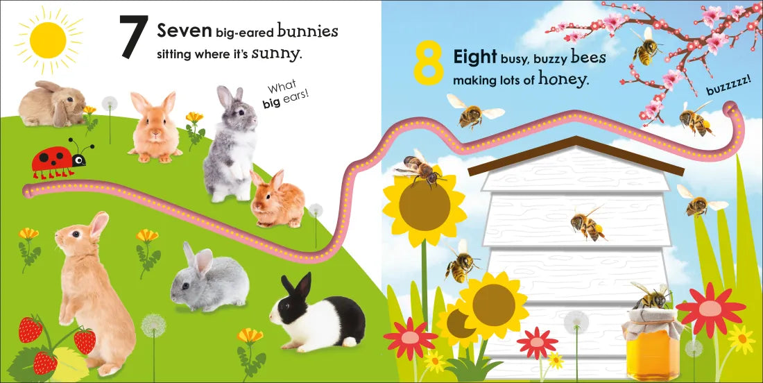 Counting with a Ladybug US - Board book