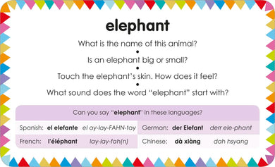 My First Touch and Feel Picture Cards: Animals US - Cards