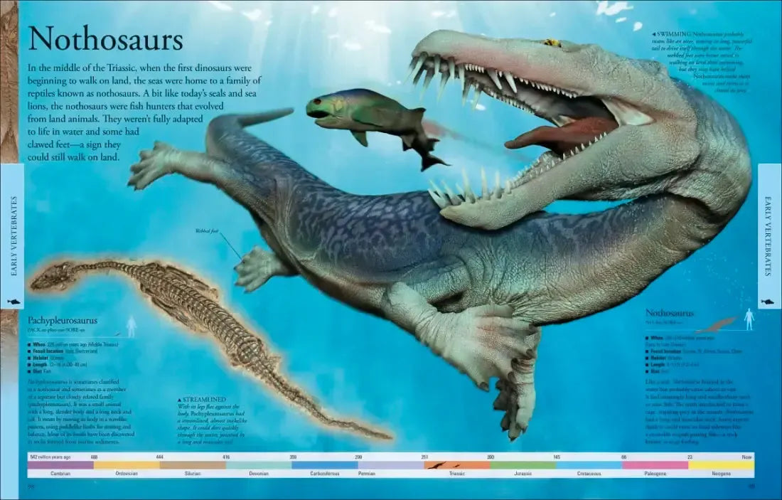 Dinosaurs: A Visual Encyclopedia, 2nd Edition US - Hardback