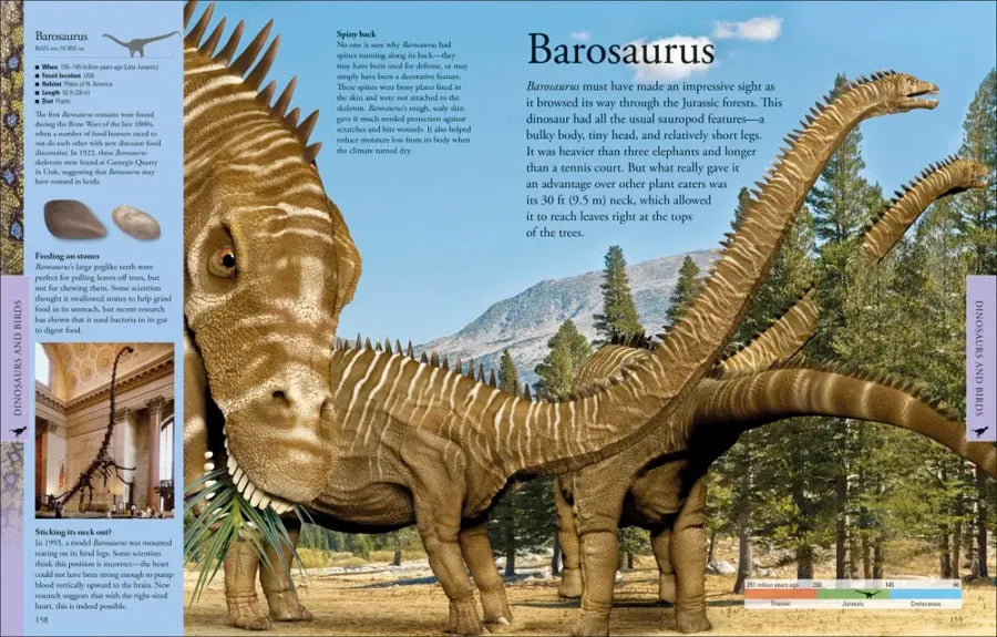 Dinosaurs: A Visual Encyclopedia, 2nd Edition US - Hardback