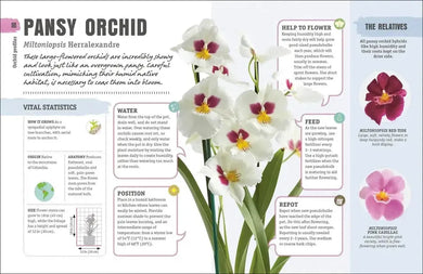 Happy Orchid US - Hardback