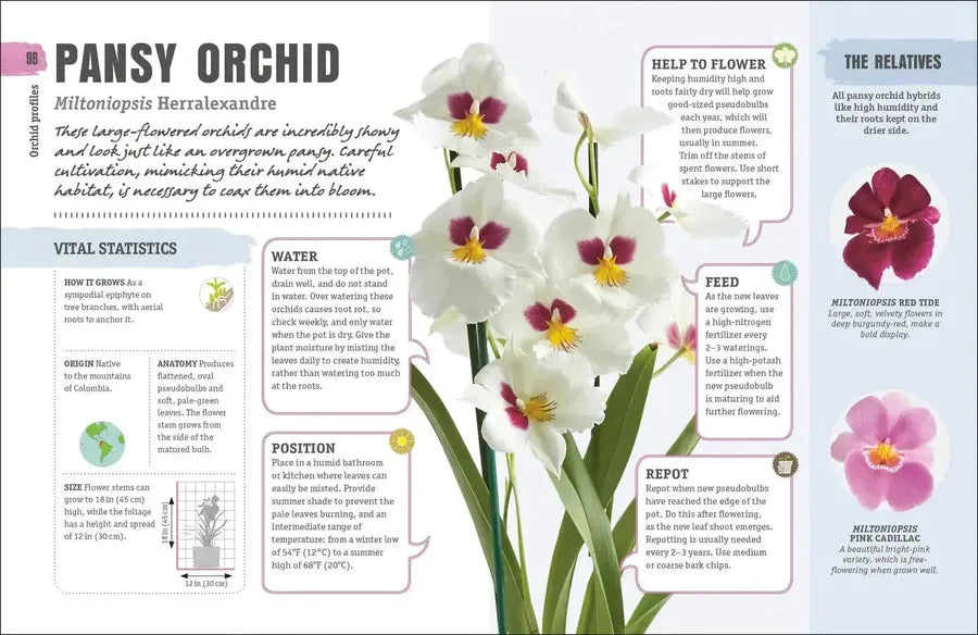 Happy Orchid US - Hardback