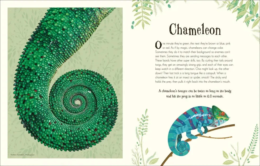 An Anthology of Intriguing Animals US - Hardback