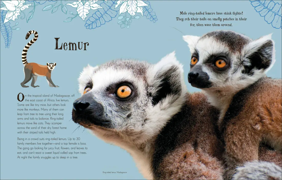 An Anthology of Intriguing Animals US - Hardback