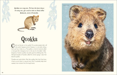 An Anthology of Intriguing Animals US - Hardback