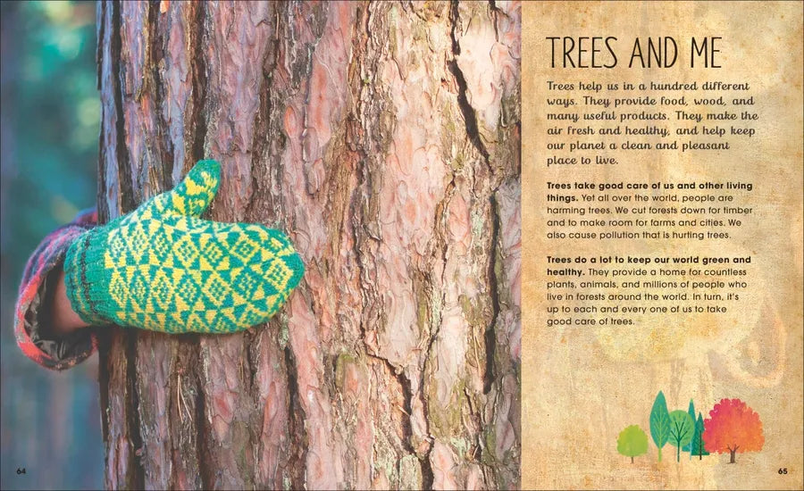 The Magic and Mystery of Trees US - Hardback