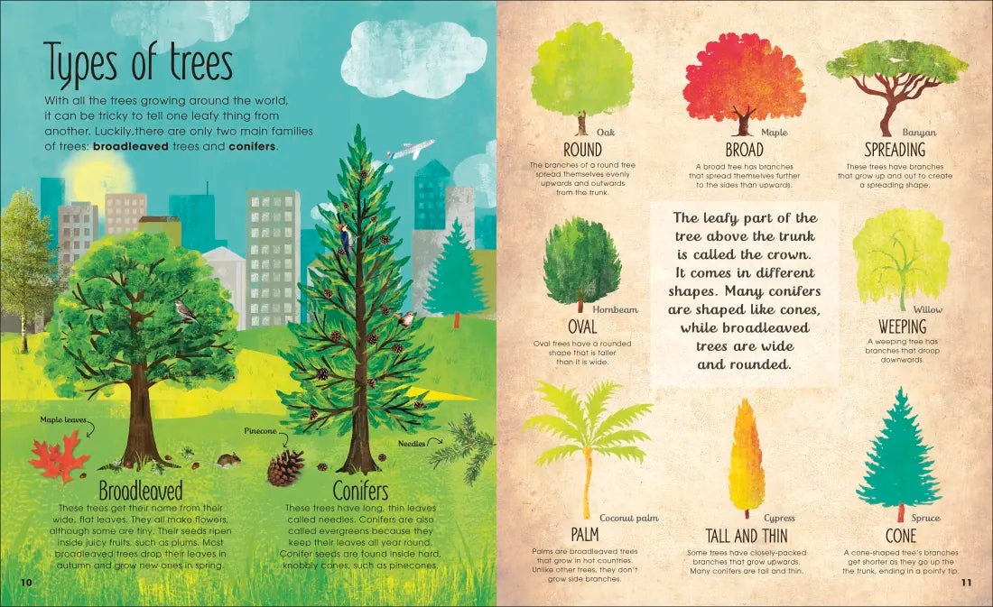 The Magic and Mystery of Trees US - Hardback