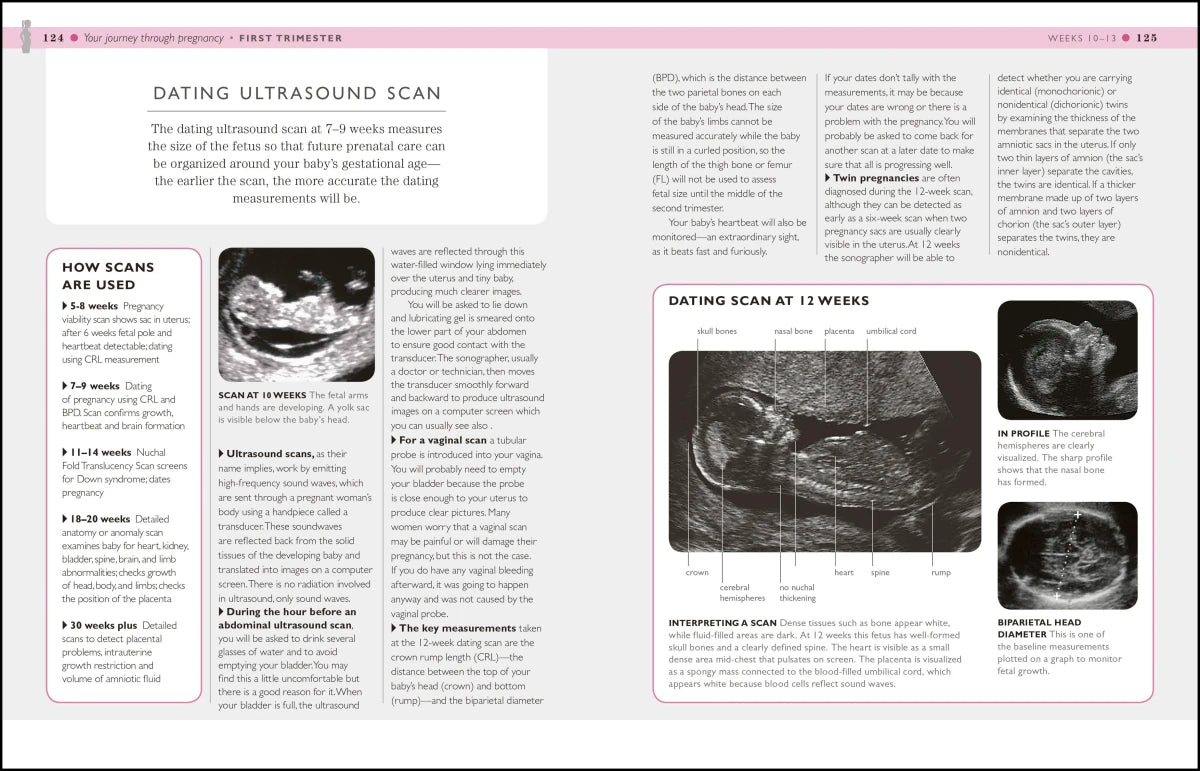 I'm Pregnant! US - Paperback / softback