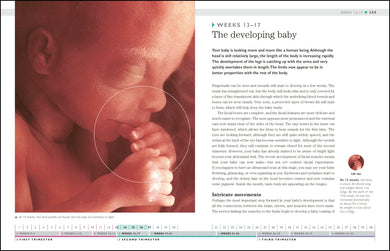 I'm Pregnant! US - Paperback / softback