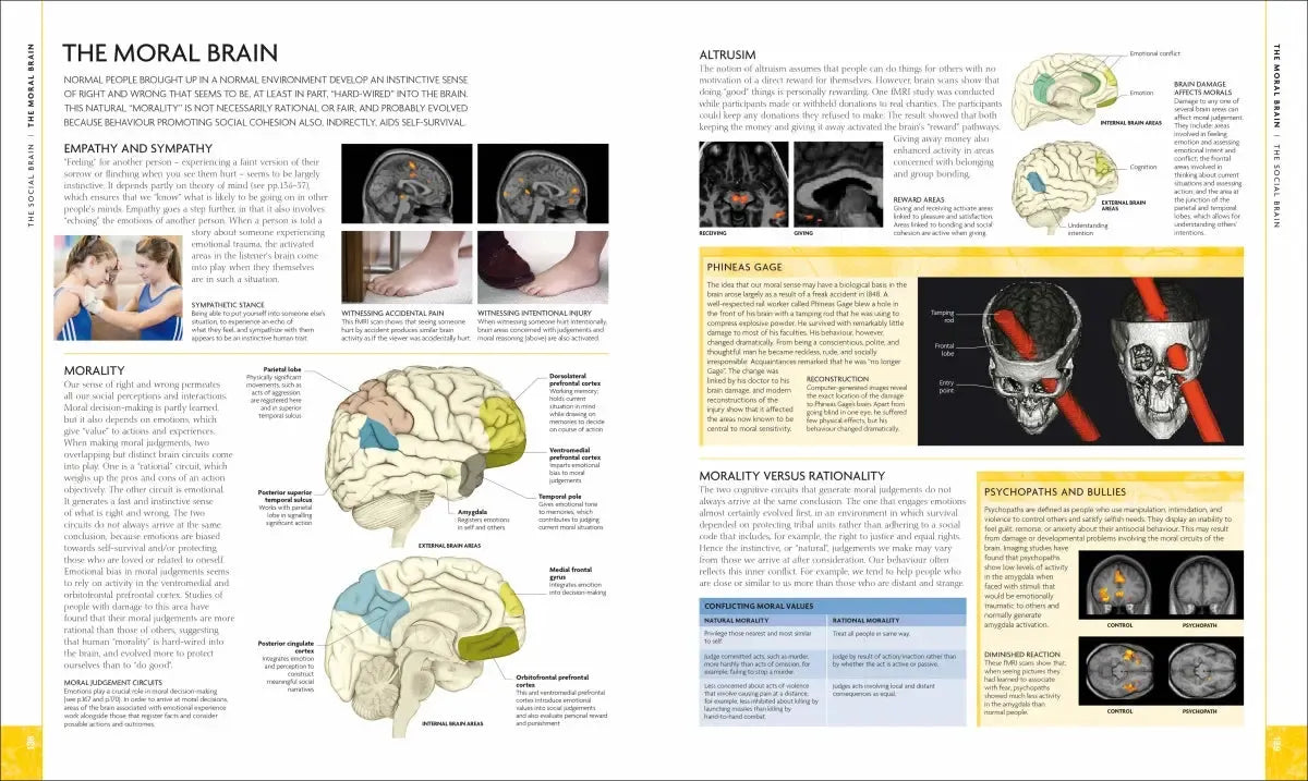 The Human Brain Book US - Hardback