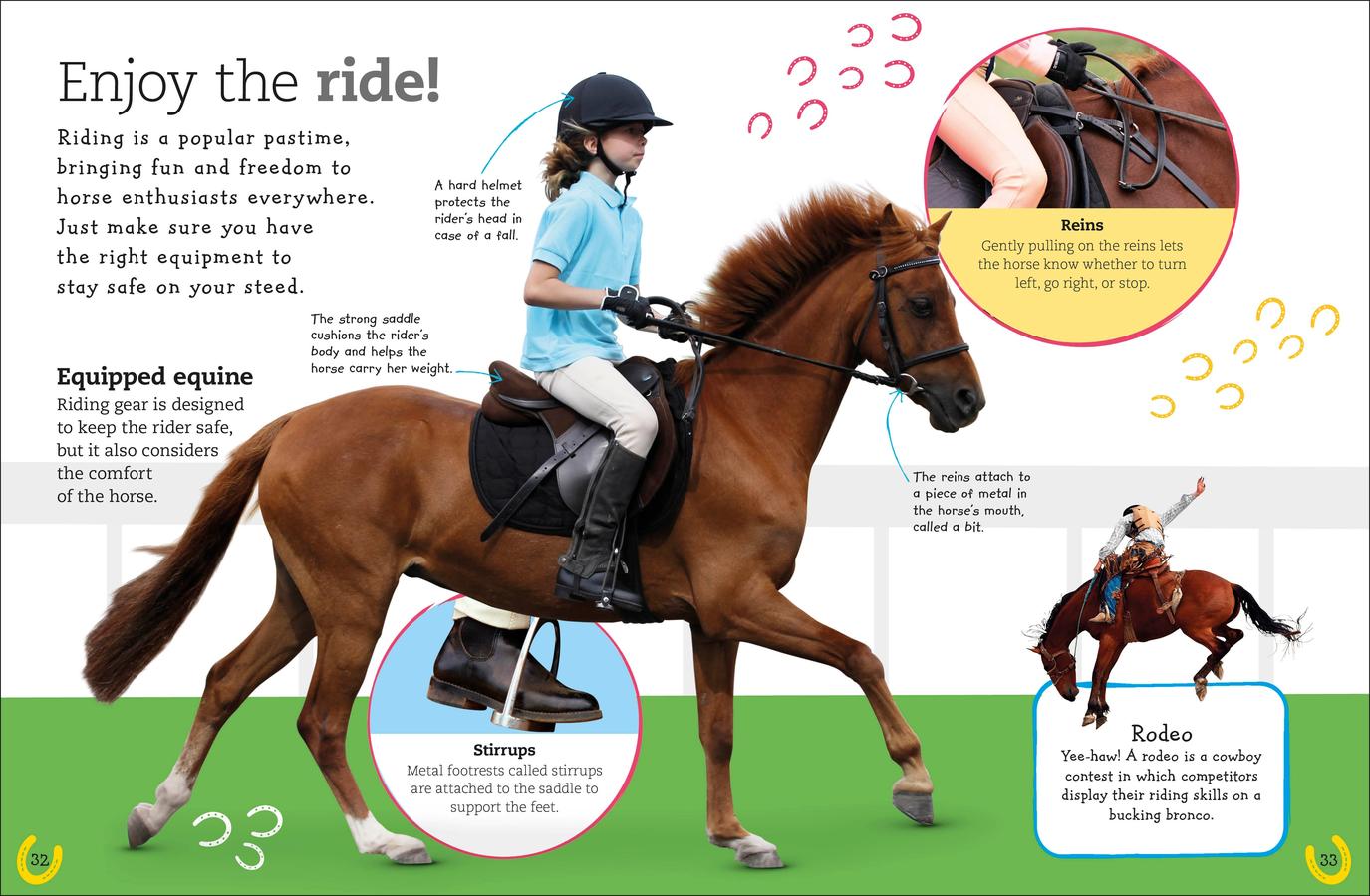 The Everything Book of Horses and Ponies US - Paperback / softback