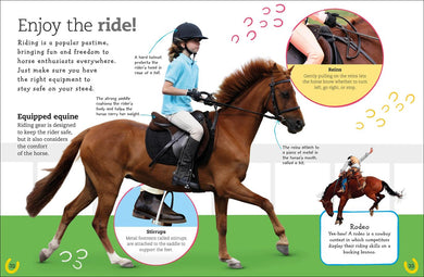 The Everything Book of Horses and Ponies US - Paperback / softback