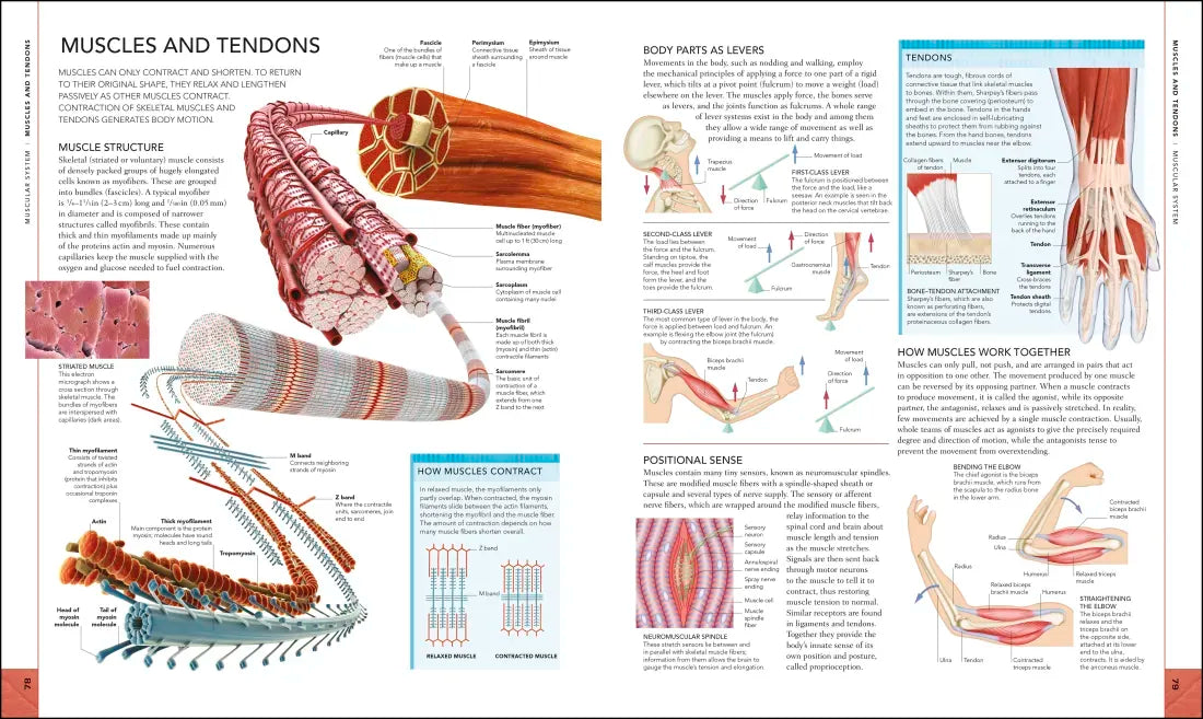 The Human Body Book US - Hardback