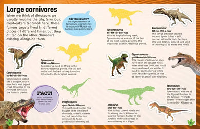 Sticker Encyclopedia Dinosaurs US - Paperback / softback