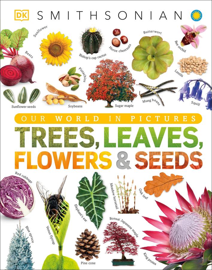 Our World in Pictures: Trees, Leaves, Flowers & Seeds