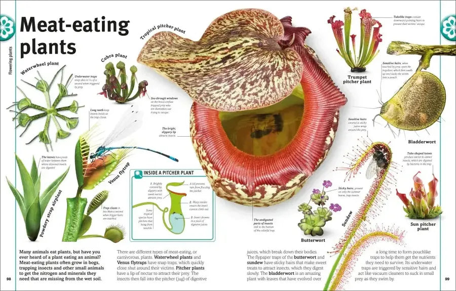 Trees, Leaves, Flowers and Seeds US - Hardback
