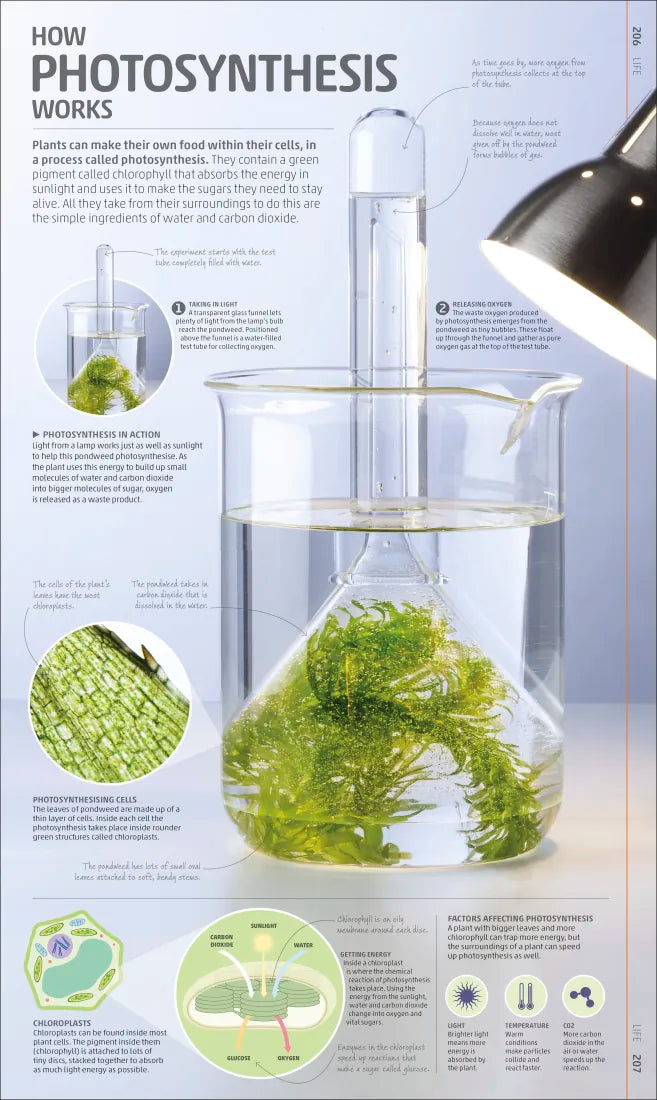 Explanatorium of Science US - Hardback