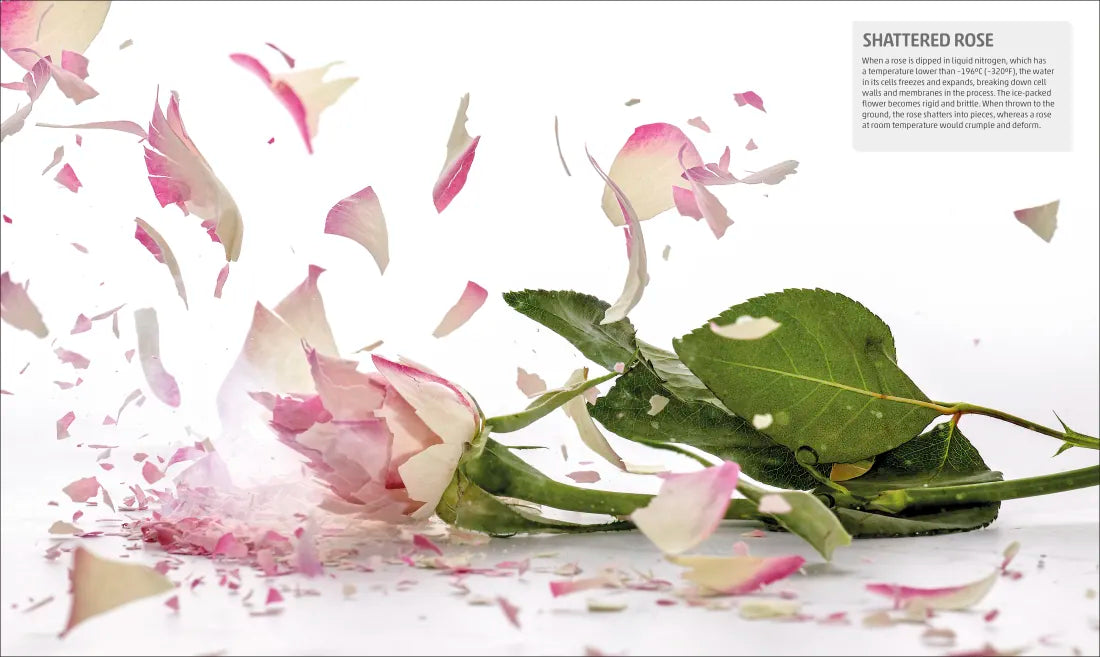 Explanatorium of Science US - Hardback