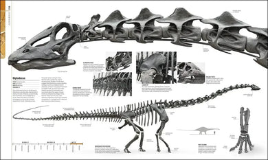 Dinosaurs and Prehistoric Life US - Hardback