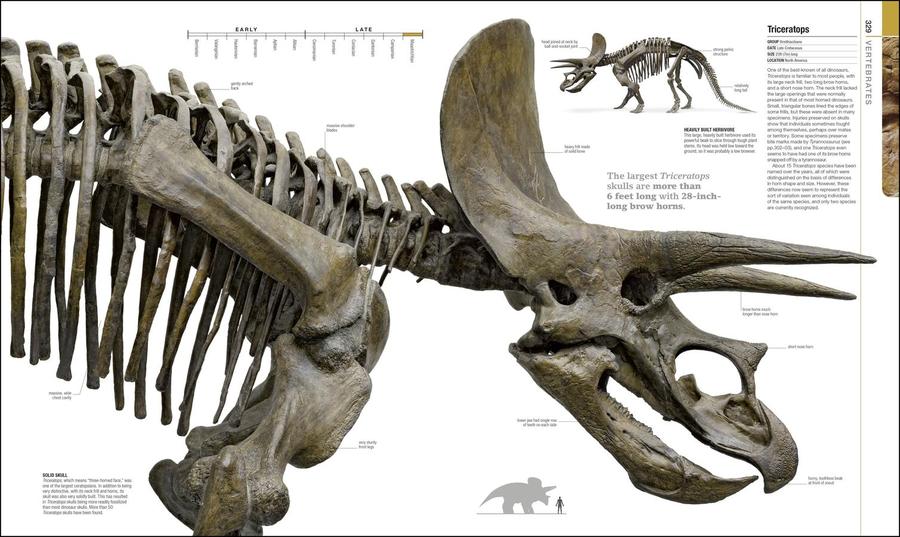 Dinosaurs and Prehistoric Life US - Hardback