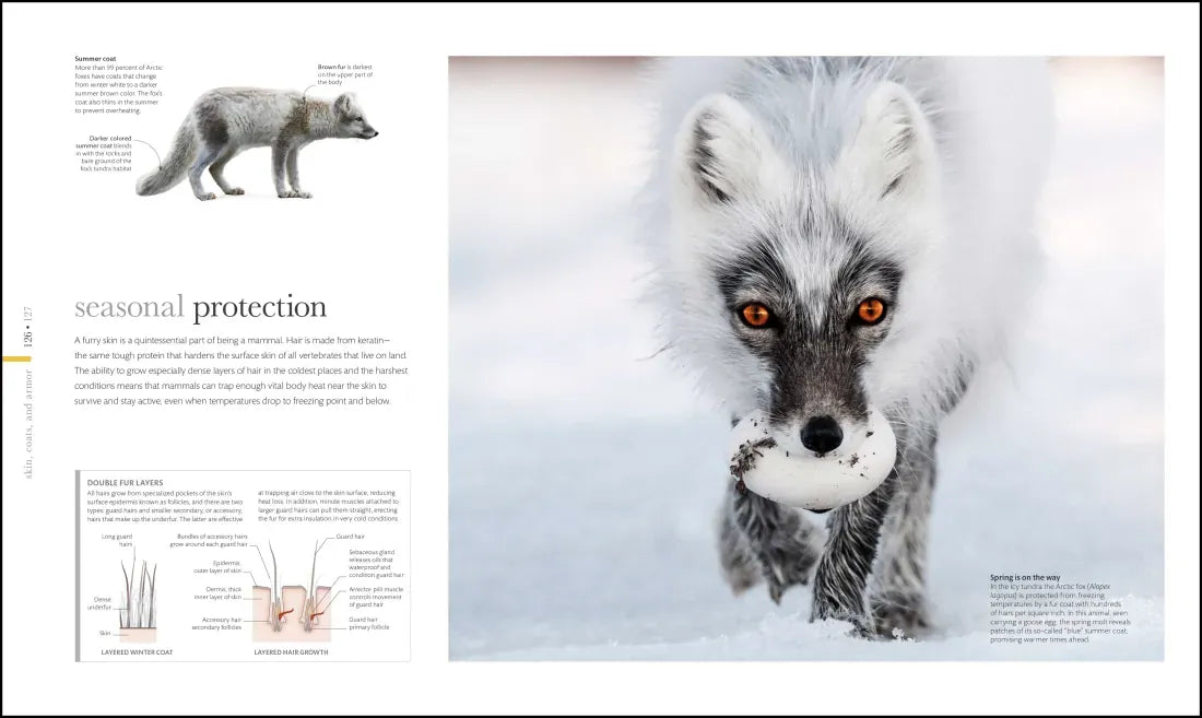 Zoology US - Hardback