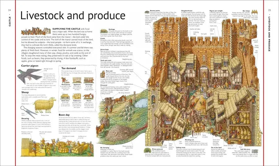 Stephen Biesty's Cross-Sections Castle US - Hardback