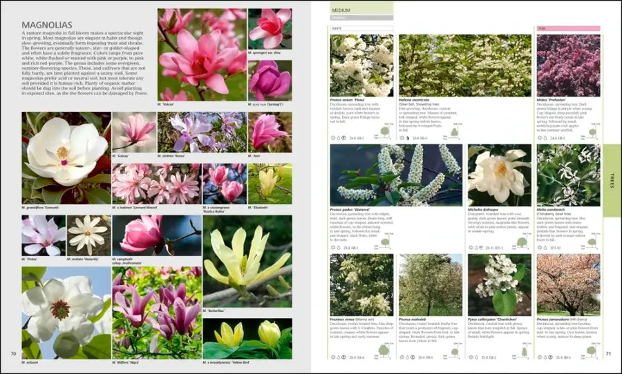 Encyclopedia of Plants and Flowers US - Hardback